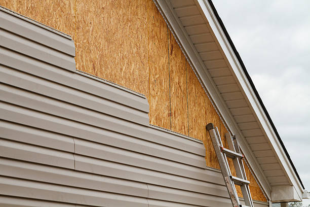 Professional Siding Inspection technician working in Beech Island, SC